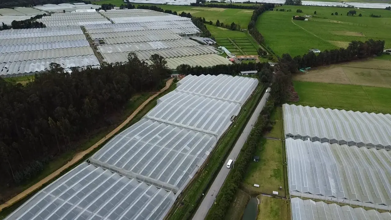 Vista aérea desde un dron a cultivos